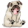 PugSiteLogo